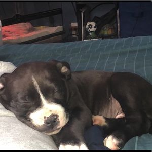 Meet your Posher, Chaz